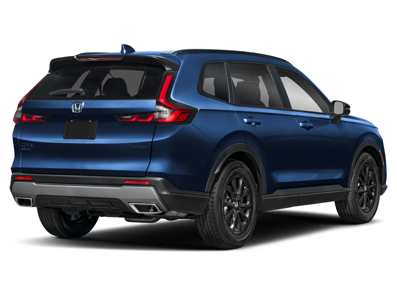 5J6RS6H56TL013384