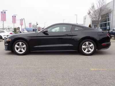 2019 Ford Mustang EcoBoost