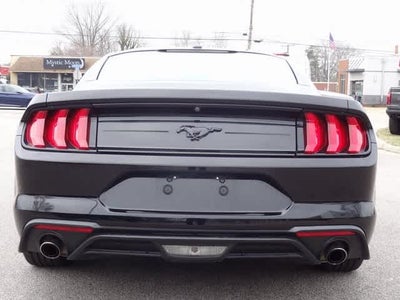 2019 Ford Mustang EcoBoost