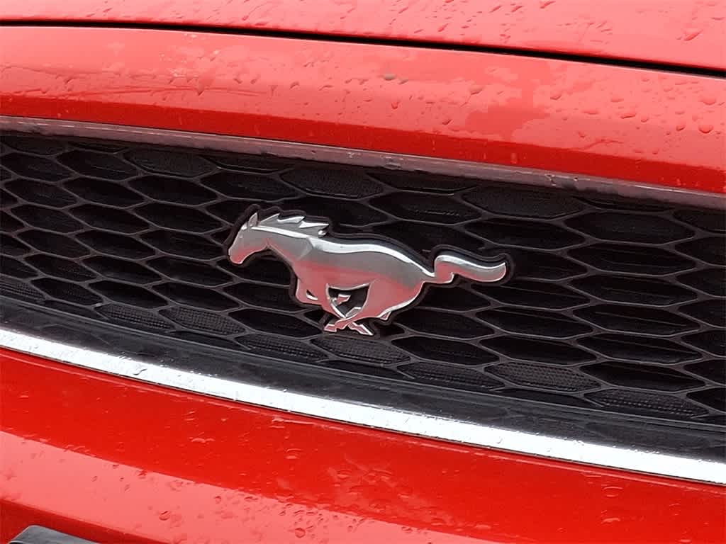 2014 Ford Mustang V6