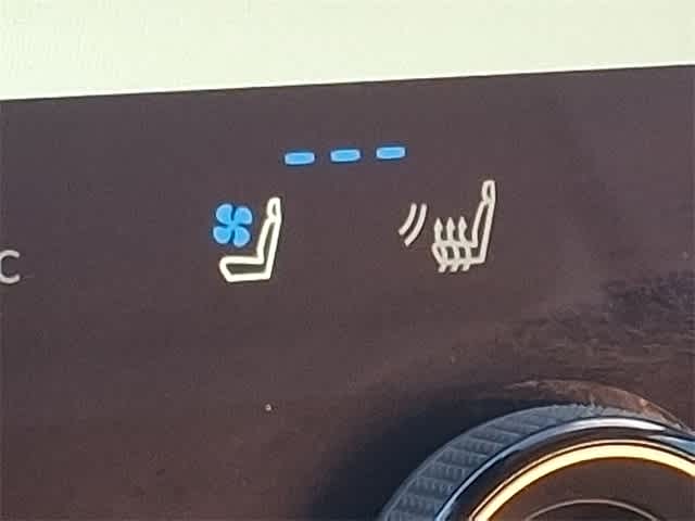 2024 Lexus RZ Premium