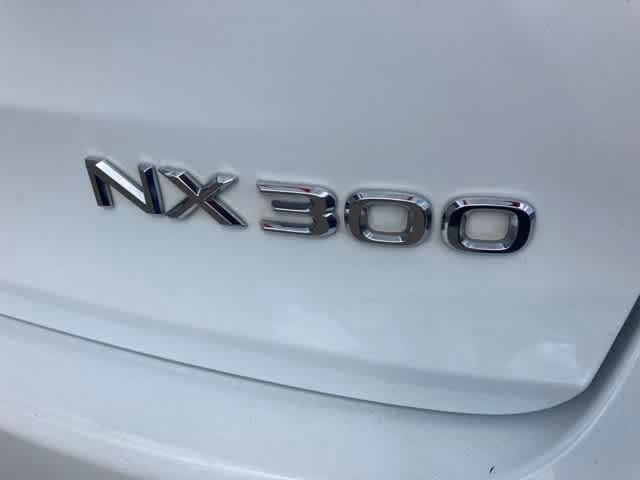 2019 Lexus NX F SPORT